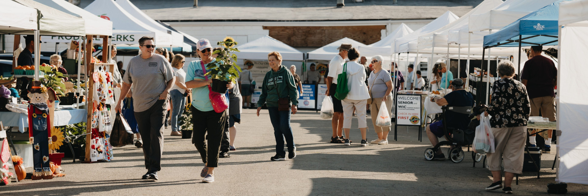 Website Headline Image (5) Website Headline Image (5)